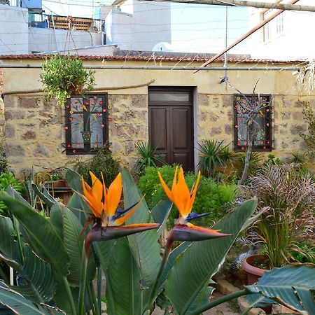 Mystery Garden Guest House Фамагуста Екстер'єр фото