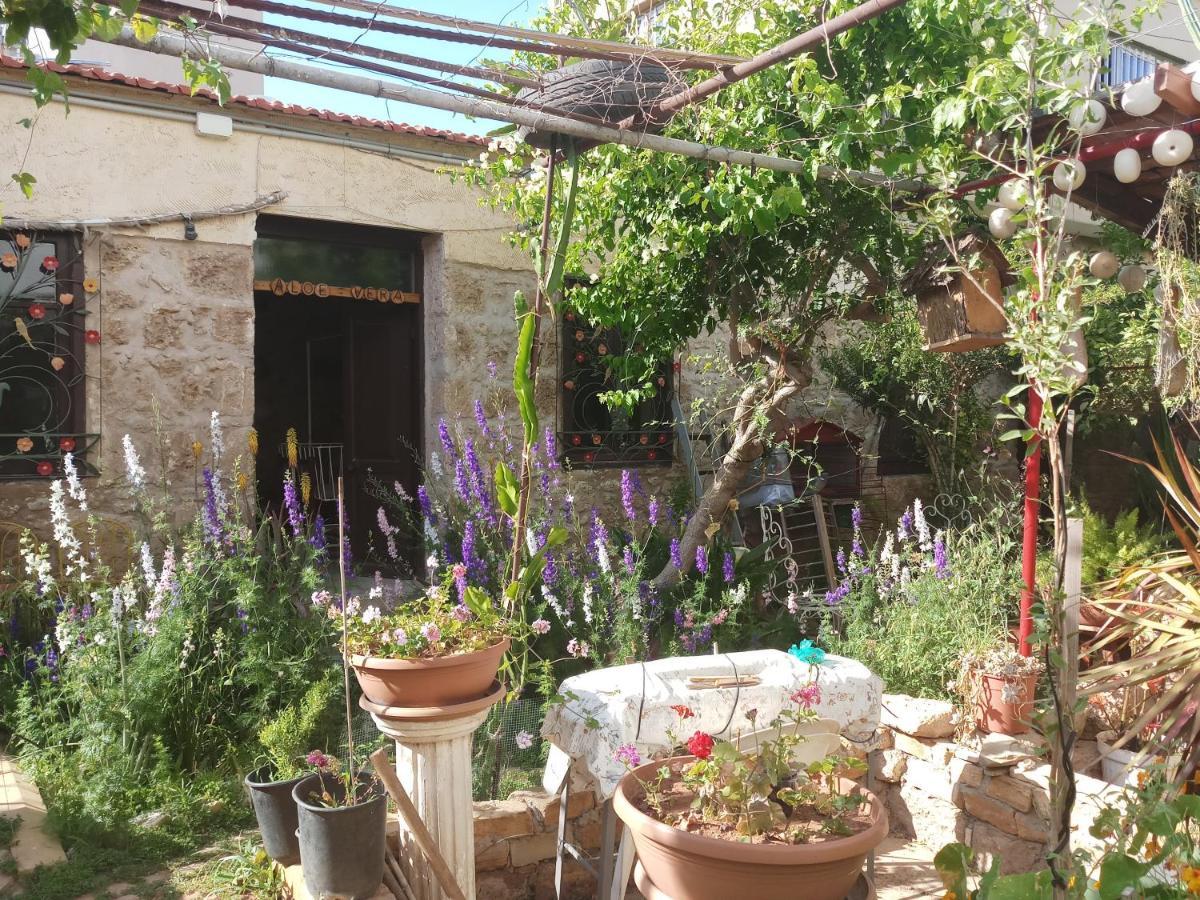 Mystery Garden Guest House Фамагуста Екстер'єр фото