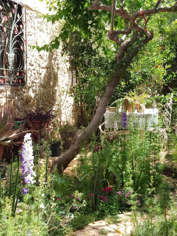 Mystery Garden Guest House Фамагуста Екстер'єр фото