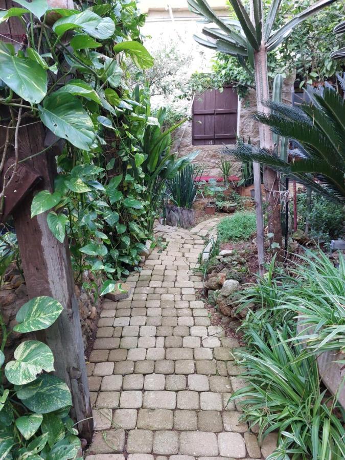 Mystery Garden Guest House Фамагуста Екстер'єр фото
