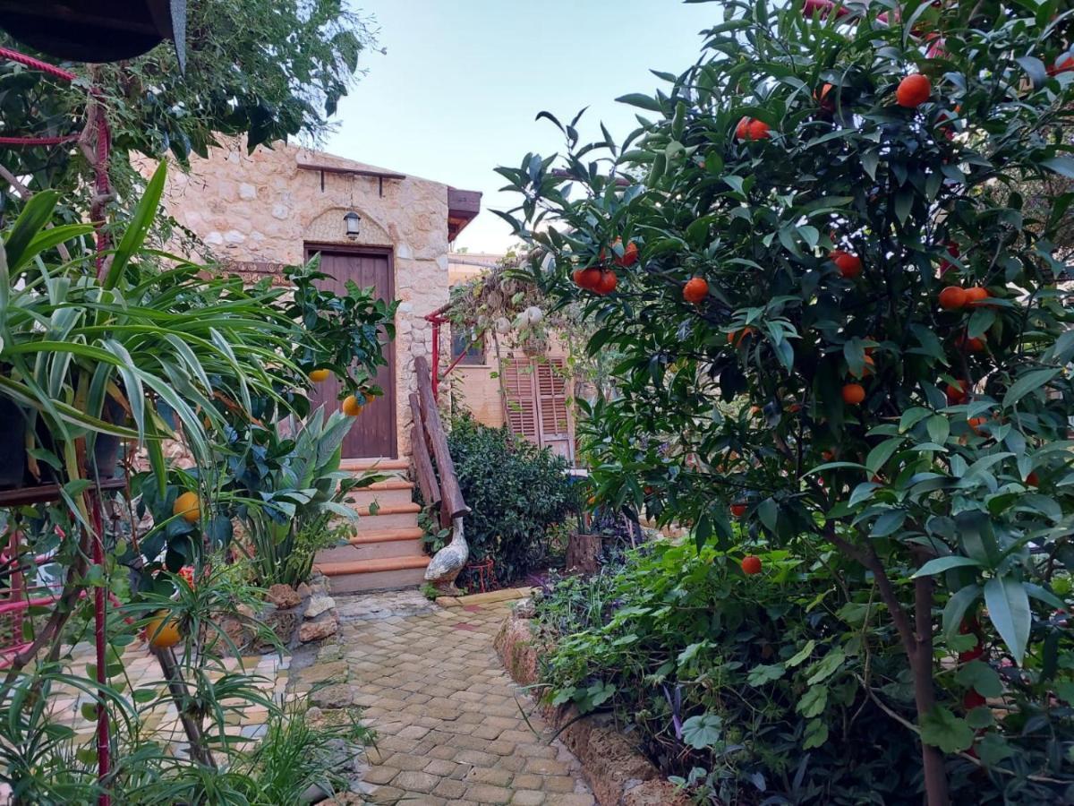 Mystery Garden Guest House Фамагуста Екстер'єр фото