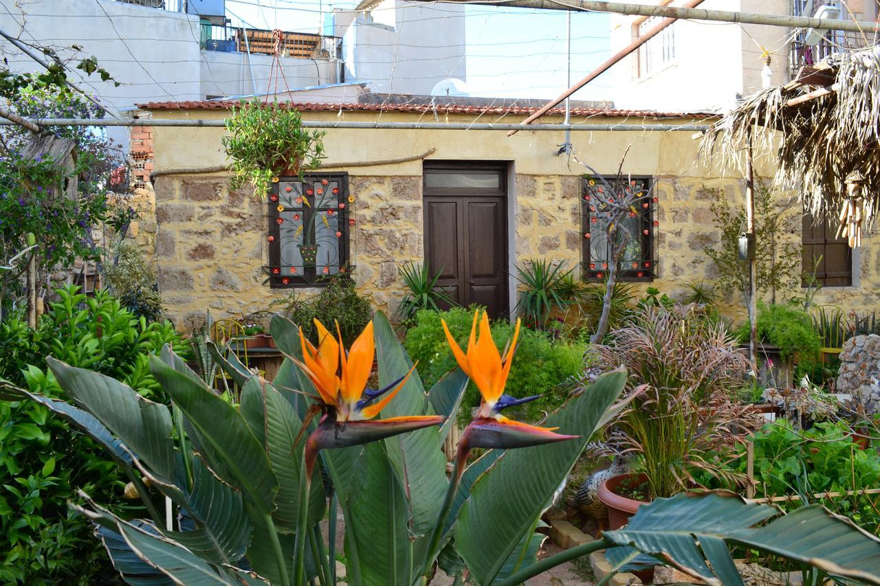 Mystery Garden Guest House Фамагуста Екстер'єр фото