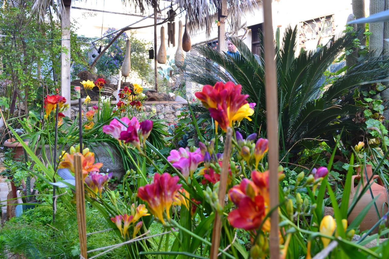 Mystery Garden Guest House Фамагуста Екстер'єр фото