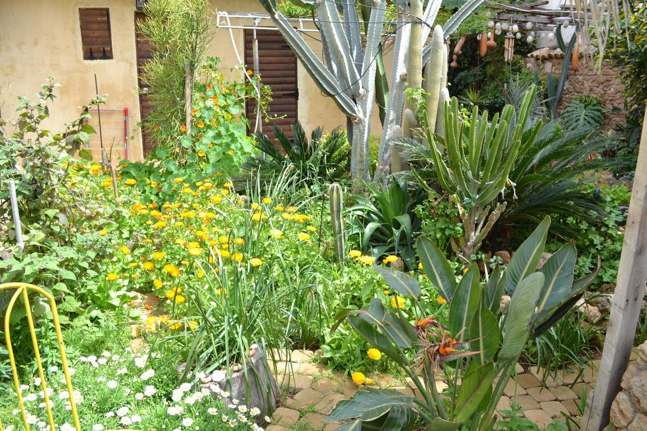 Mystery Garden Guest House Фамагуста Екстер'єр фото