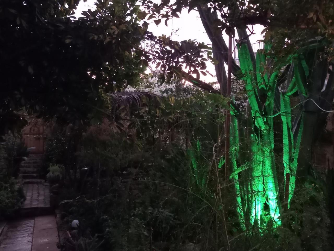 Mystery Garden Guest House Фамагуста Екстер'єр фото