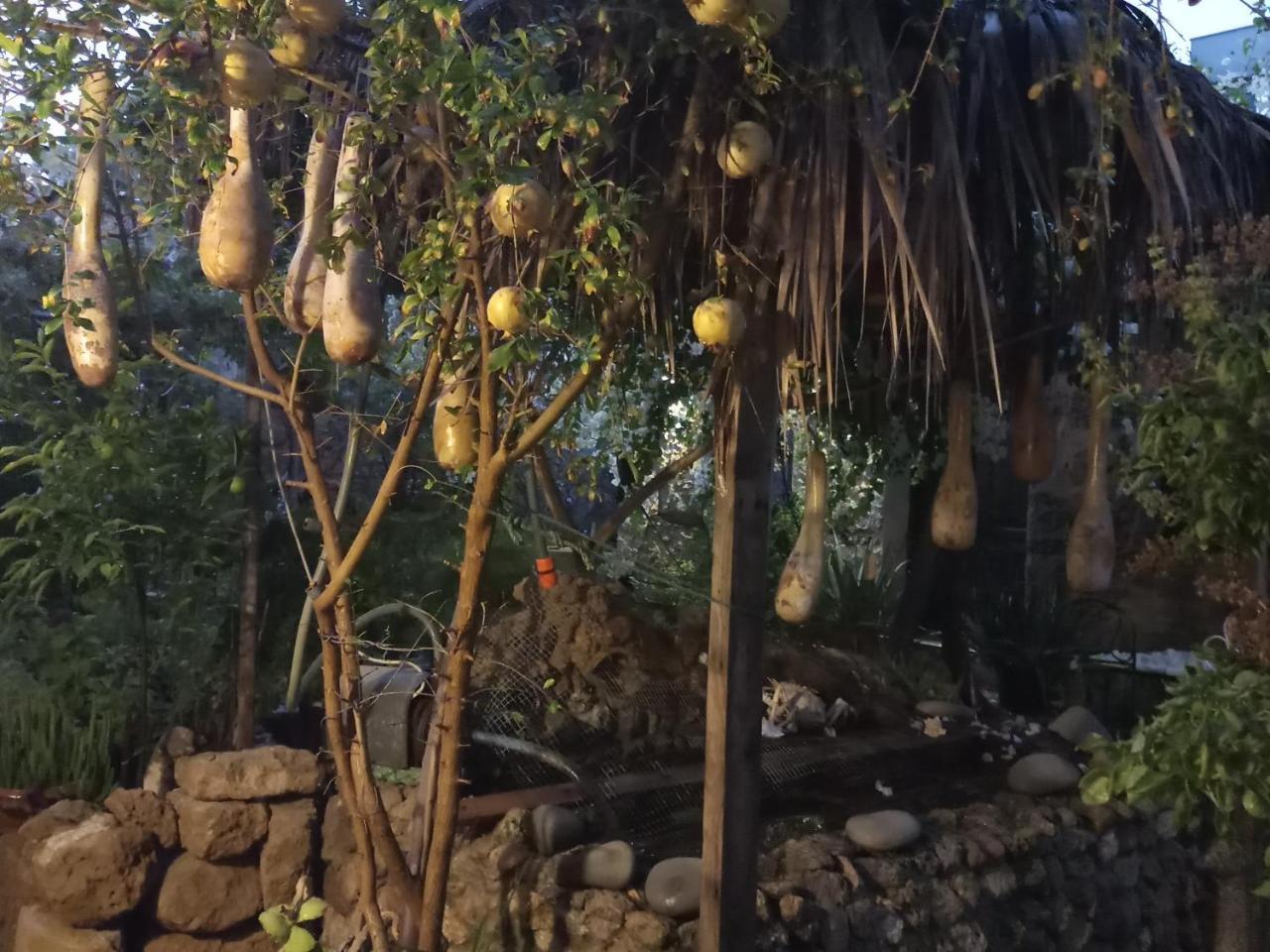 Mystery Garden Guest House Фамагуста Екстер'єр фото