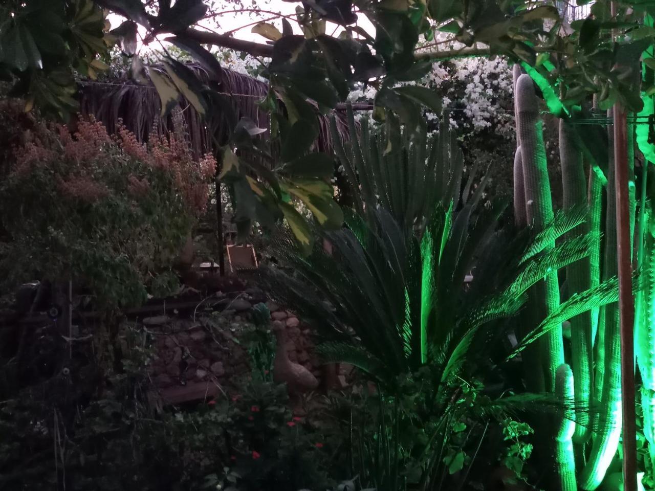 Mystery Garden Guest House Фамагуста Екстер'єр фото