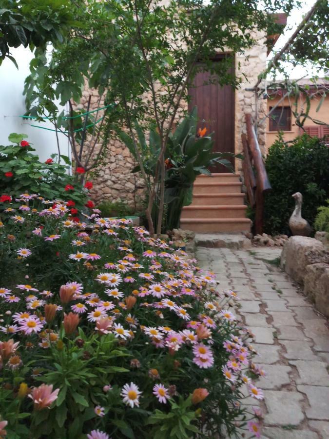 Mystery Garden Guest House Фамагуста Екстер'єр фото
